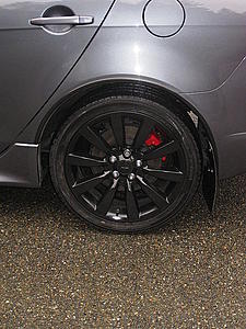 Painted calipers-016.jpg