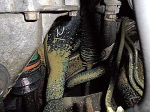 Yellow grease next to both axles.-sam_4292.jpg