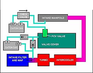 Burning Oil- catch can install help-pcv-2-can.jpg