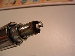 what does my spark plugs tell you?-dscf0077.jpg