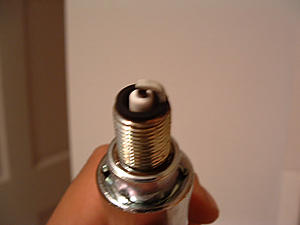 what does my spark plugs tell you?-dscf0081.jpg