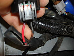 9005 Headlight Harness Question-dsc00585.jpg