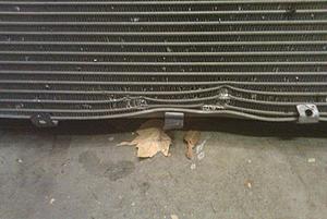 Imight have got in a fight with the curb...-smashed-intercooler.jpg