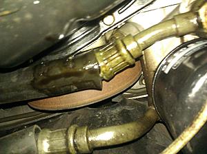 what hose is this? oil leak..-img_20111109_173925.jpg