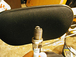 Bent Rod? Stretched Rod Bolt? HELP!!!-p1010004new.jpg