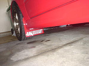 rally armor mud flaps-dsc01479.jpg