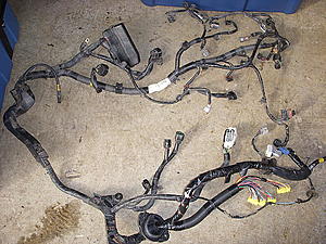 F/s evo 8 complete engine wiring harness !!!!!!!!-dscn6835.jpg