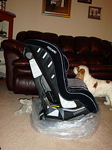 New Recaro-dsc01341.jpg