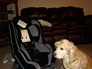 New Recaro-dsc01346.jpg