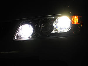 Supreme Power Super white H11 Bulbs installed...WOW!-hidwh11wlf1.jpg