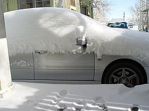 Apex silver turned Snow White... ?-4.jpg