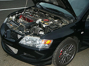 Blitz SUS intake Pics-blitz.jpg