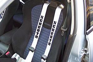 Silver Schroth Harnesses-image00005.jpg