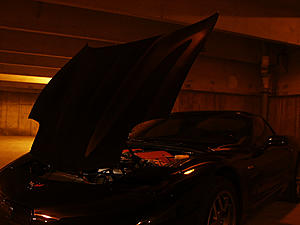 A little Photo shoot @ night-evo11.jpg