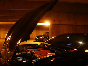 A little Photo shoot @ night-evo12.jpg