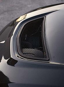 100% Identical CARBON fiber hood?-hood6.jpg