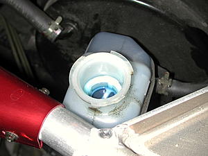 POWER BLEEDER - What do you use?-dscn5394_resize.jpg