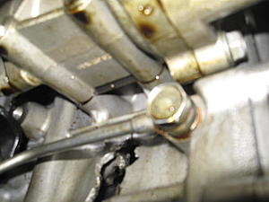 Motor blew up :(-img_0990.jpg