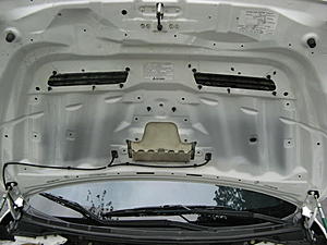 Hood Heat Shield-4321.jpg