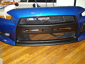 Has anyone painted the unpainted part on the front of the car?-dsc02808.jpg