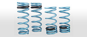 looking to see what is best? springs-spec-r.jpg