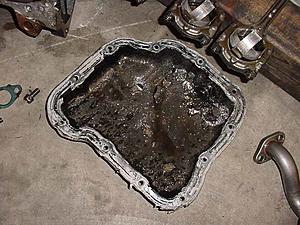 Synthetic Oil = BAD-oilpan.jpg