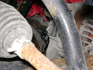 Alternator Help-alt-harness2.jpg