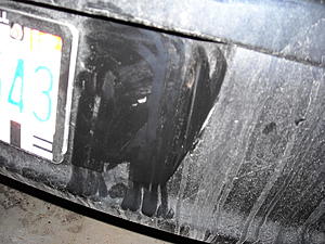 I Backed Up Into Another Car-Is this damage bad?-dscn0100.jpg