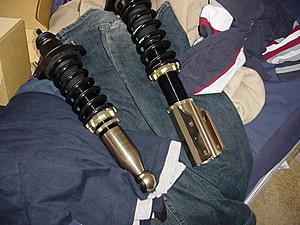 NEX Full Coilovers?-dsc00820.jpg