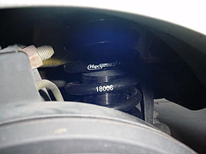 NEX Full Coilovers?-dsc00843.jpg