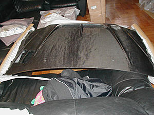 Carbon Fiber Products!-hood1.jpg