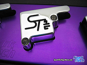 Project 2G 8's and Street Driven-purple_billet_caps_0053.jpg