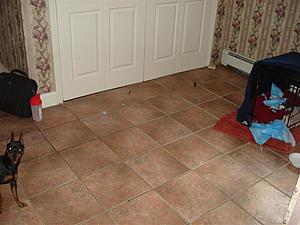 Worcester/Boston Social Thread-aston-mud-room-002-medium-.jpg