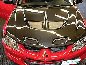 FS [NH] Carbon Hood, LED Wing-evo-hood.jpg