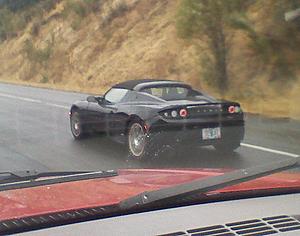 Exotic Car Sightings-tesla.jpg