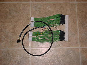 Halfbreed and myself got some stuff today-boomslang-harness.jpg