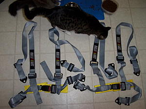 McBrown35's RRM Turbo Part Out!-ralliart-harnesses.jpg