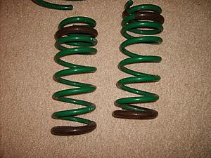 Tein Springs-sp3.jpg