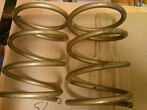 FS: Tein Lowering Springs-tein1.jpg