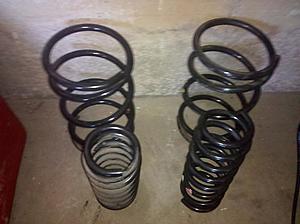 Evo suspension struts and springs-springs.jpg