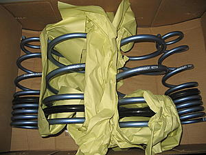 Swift Spec R Springs-mix-004.jpg