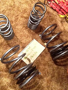 Swift spec R springs-image-4020495404.jpg