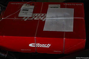 For Sale Brand New Eibach Pro Kit Springs-untitled-0029.jpg