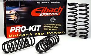 Eibach Pro-Kit Lowering Springs *BRAND NEW*-eibach-springs.jpg