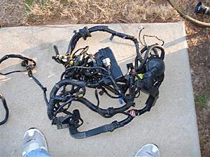 FS: evo 9 complete engine bay to dash wiring hanress-jc-097.jpg