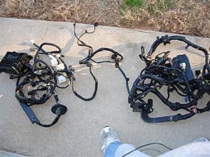 FS: evo 9 complete engine bay to dash wiring hanress-jc-098.jpg