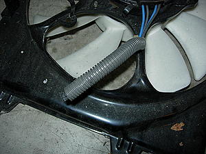 FS:Stock radiator fan-dscn2883.jpg