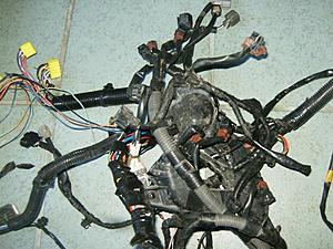 wiring harnesses-hpim0340.jpg