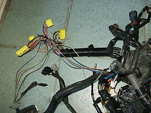 wiring harnesses-hpim0339.jpg