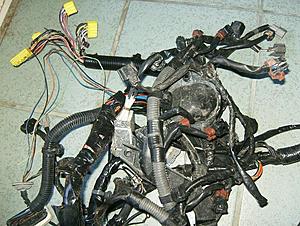 wiring harnesses-hpim0338.jpg